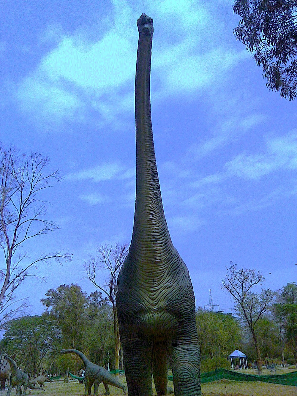  Dinosaur That Ruled the Late Jurassic