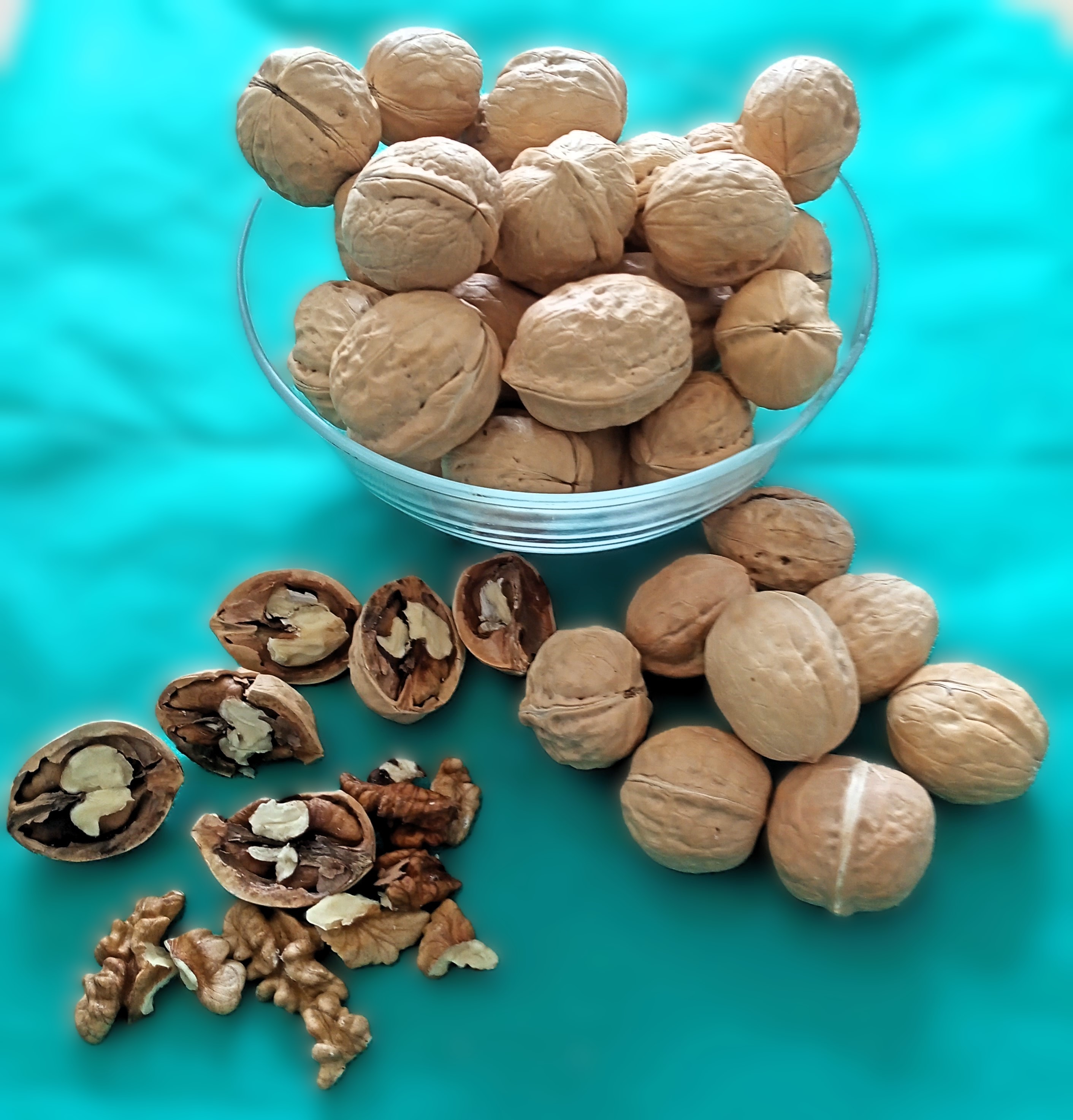 walnut