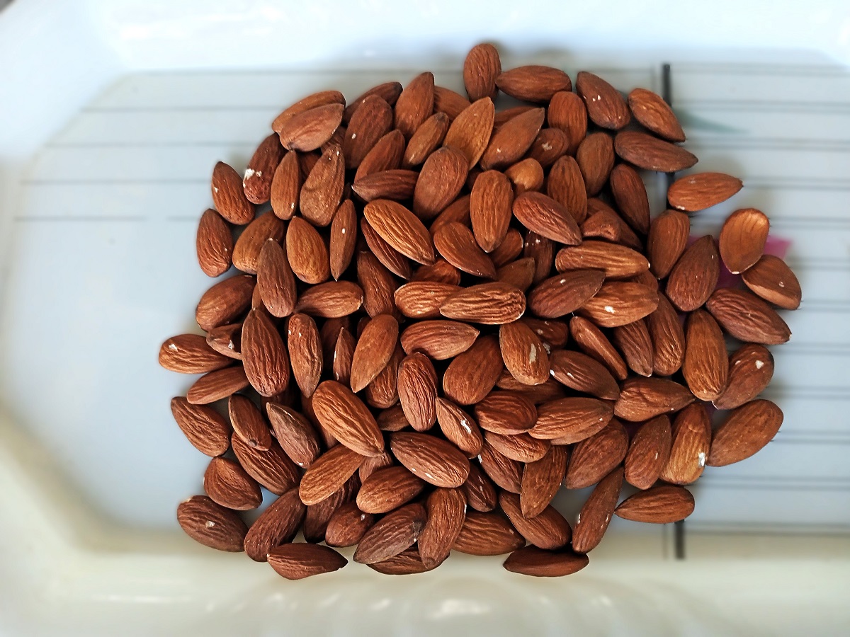 Almond Enhancing brain power