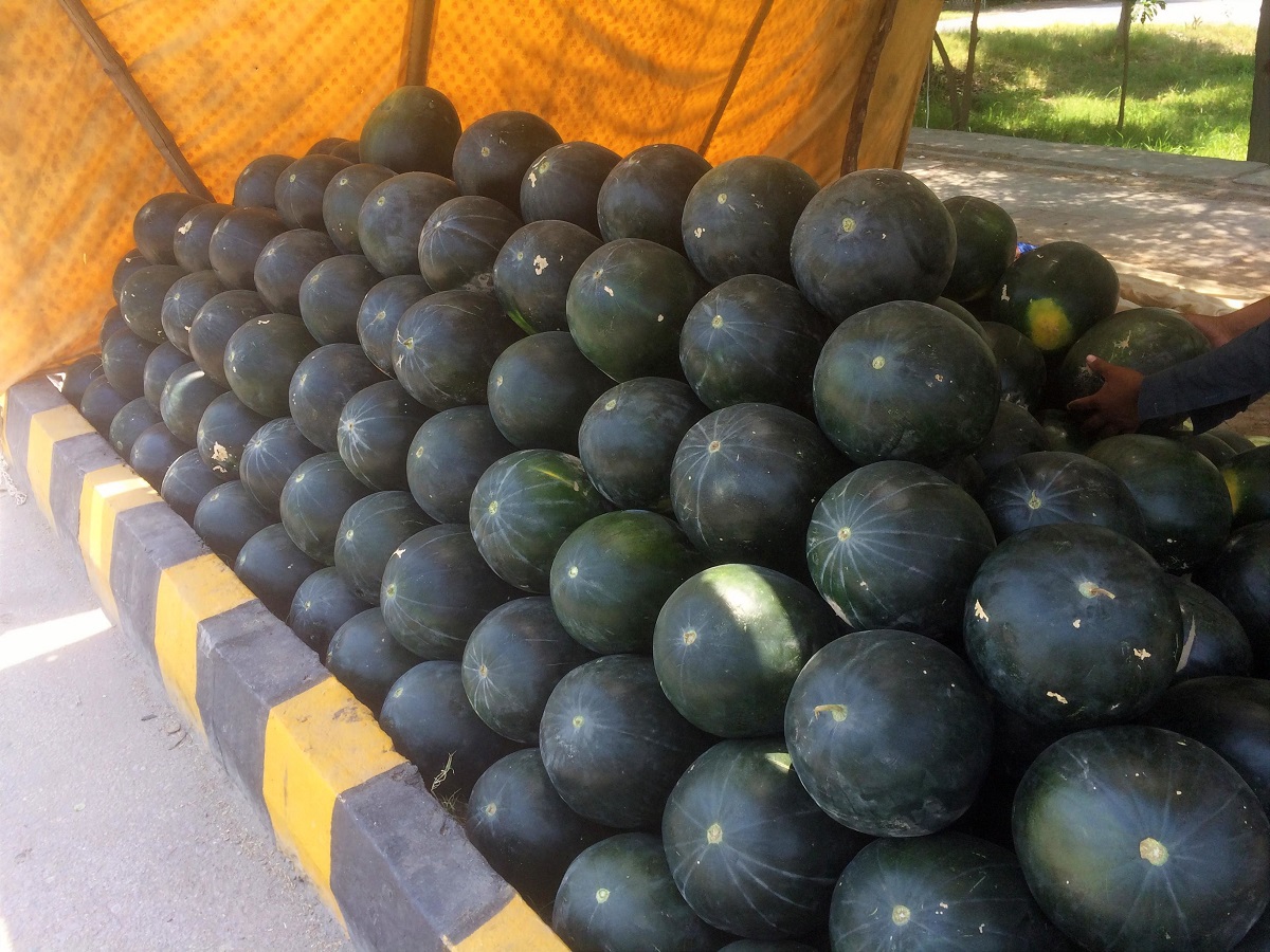 Watermelon