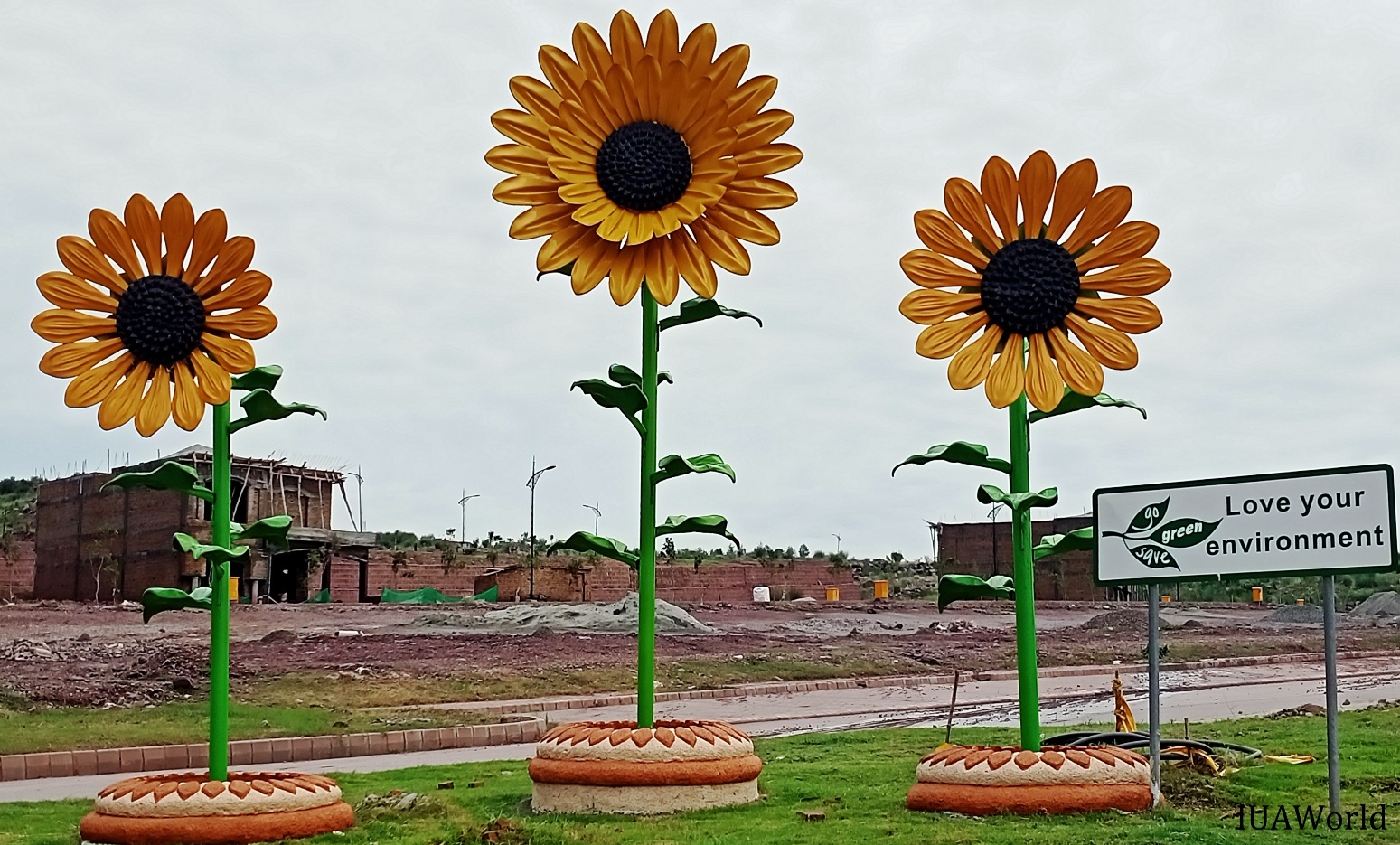 Sun Flower.jpg