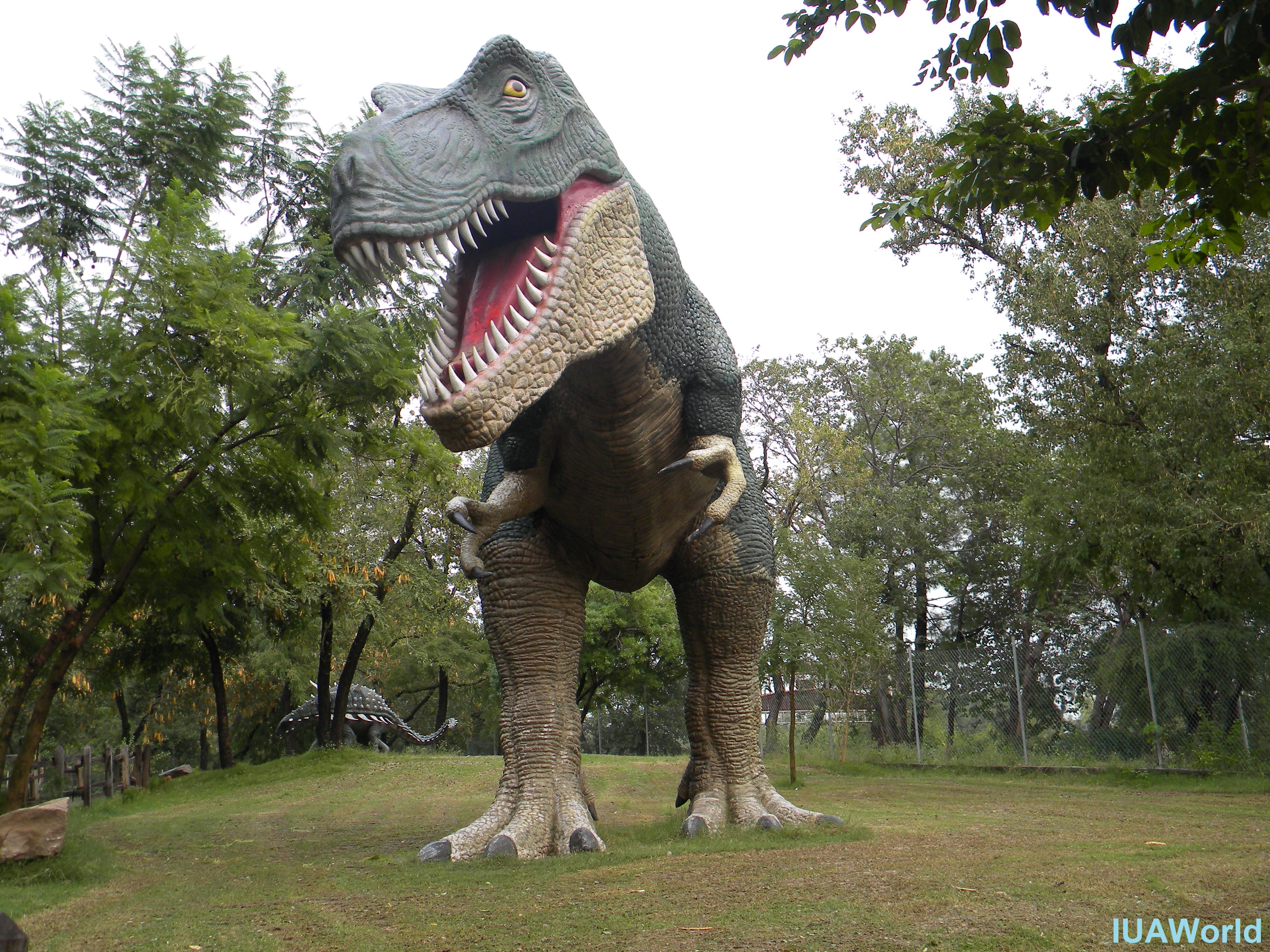 Tyrannosaurus Rex 